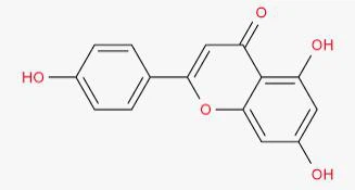 Apigenin powder Apigenin powder
