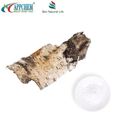 پودر بتولین طبیعی