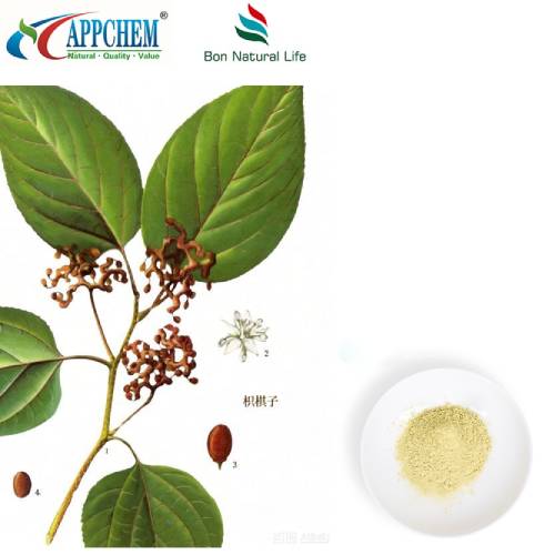 پودر عصاره هوونیا دولسیس