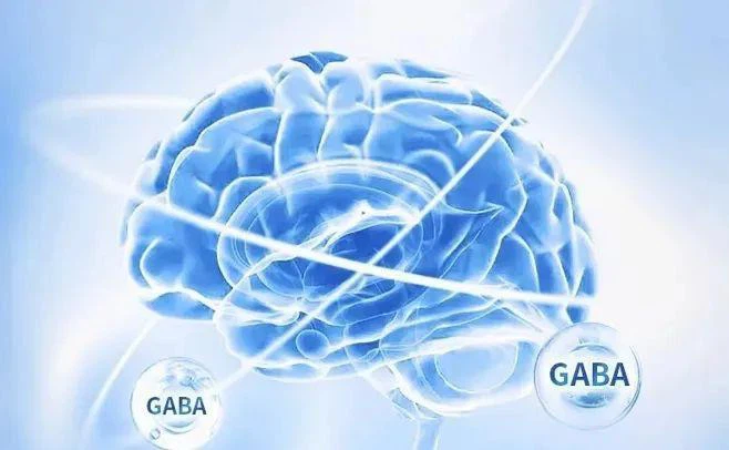GABA1 GABA1