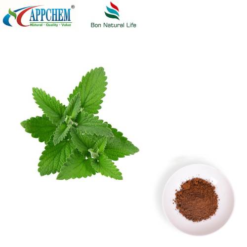 پودر عصاره بادرنجبویه