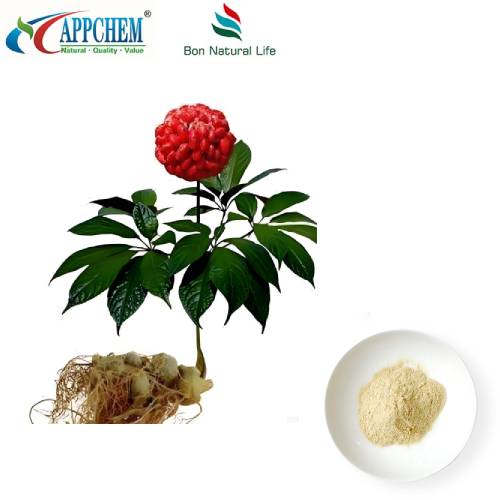 عصاره ریشه Notoginseng
