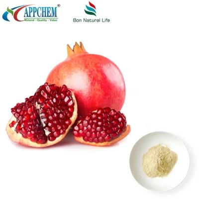 عصاره انار اسید الاژیک