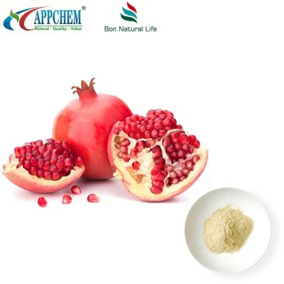 پودر الاژیک اسید