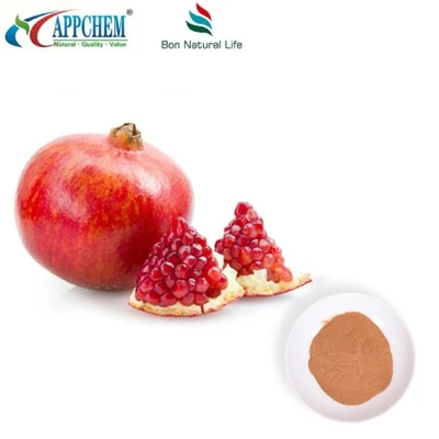 پودر عصاره پوست انار