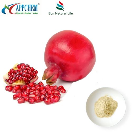 عرضه فله پودر عصاره پوست انار