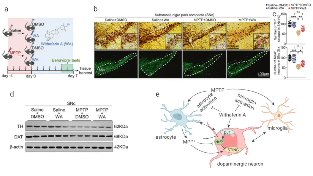 product-1080-609 product-1080-609