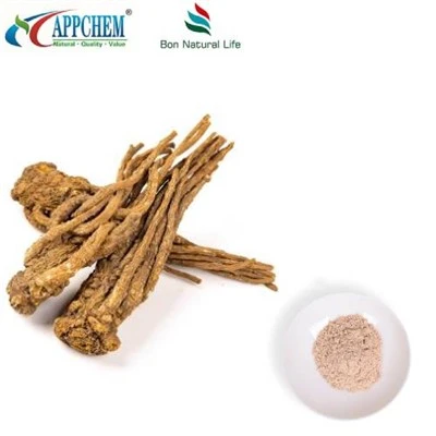 پودر عصاره گلپر سیننسیس