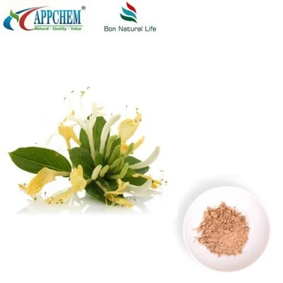 پودر عصاره Flos Lonicerae