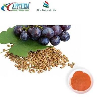 پودر عصاره دانه انگور استاندارد