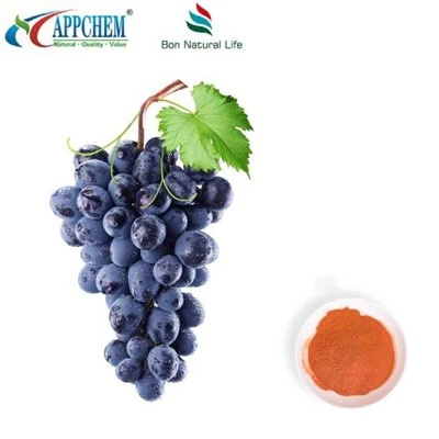 پودر عصاره هسته انگور 95 پلی فنول