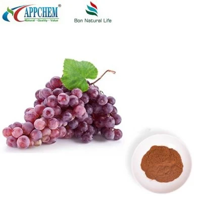 پودر عصاره پوست انگور