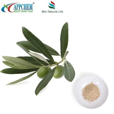 پودر عصاره برگ زیتون