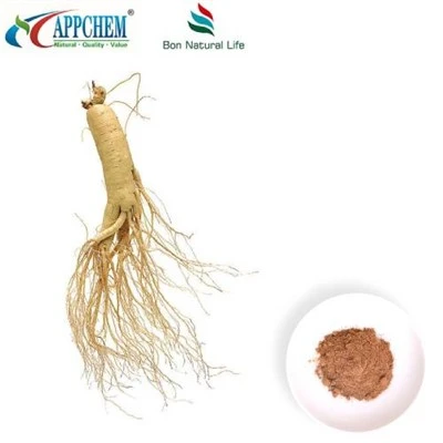 پودر عصاره جینسینگ Panax