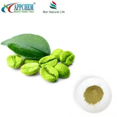 پودر دانه قهوه سبز خالص