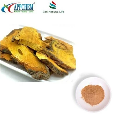 پودر عصاره رسوراترول Polygonum Cuspidatum
